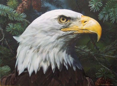 (image for) Handmade oil painting Copy paintings of famous artists Carl Brenders Paintings Fir and Feathers - Click Image to Close